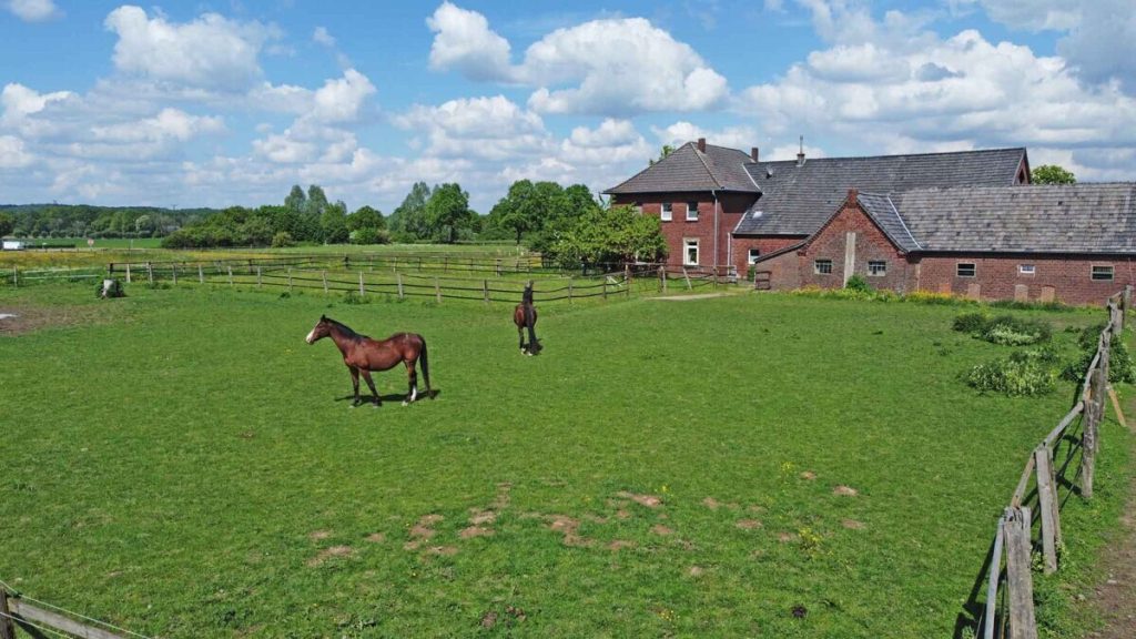Volksbank Immobilien Niederrhein GmbH - Immobilienangebot - Alpen - Alle - Hier werden Träume wahr: Pferdehof mit Weideflächen in Alpen-Veen!