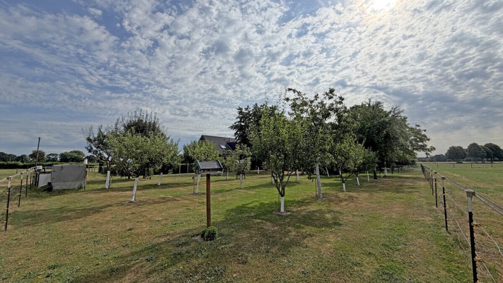 Volksbank Immobilien Niederrhein GmbH - Immobilienangebot - Rees - Alle - Ein Rückzugsort am Niederrhein – Exklusives Zweifamilienhaus in idyllischer Alleinlage