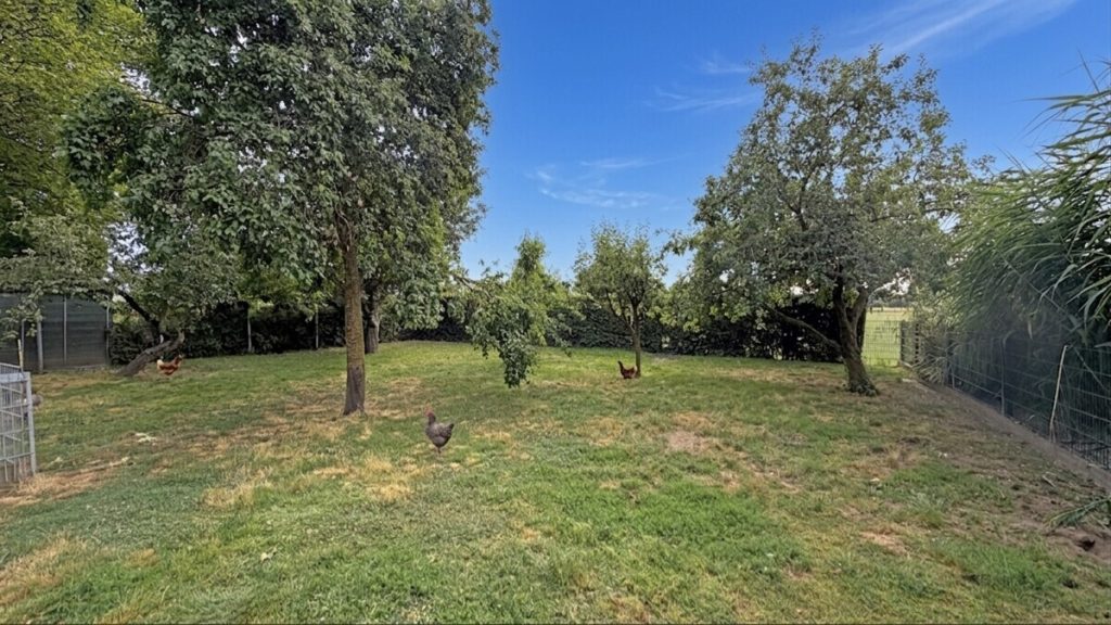 Volksbank Immobilien Niederrhein GmbH - Immobilienangebot - Rees - Alle - Ein Rückzugsort am Niederrhein – Exklusives Zweifamilienhaus in idyllischer Alleinlage