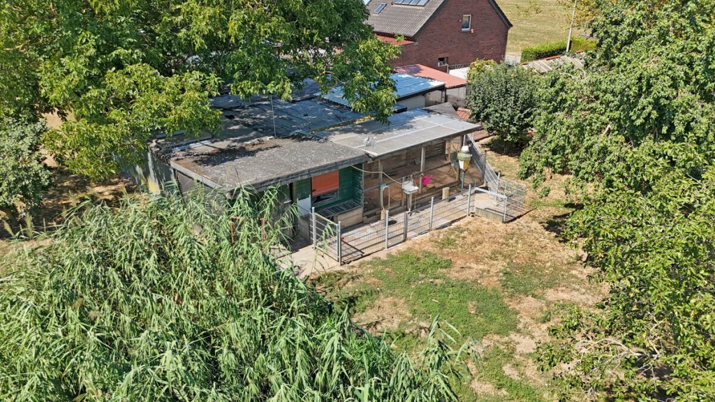 Volksbank Immobilien Niederrhein GmbH - Immobilienangebot - Rees - Alle - Ein Rückzugsort am Niederrhein – Exklusives Zweifamilienhaus in idyllischer Alleinlage