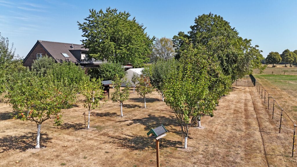 Volksbank Immobilien Niederrhein GmbH - Immobilienangebot - Rees - Alle - Ein Rückzugsort am Niederrhein – Exklusives Zweifamilienhaus in idyllischer Alleinlage
