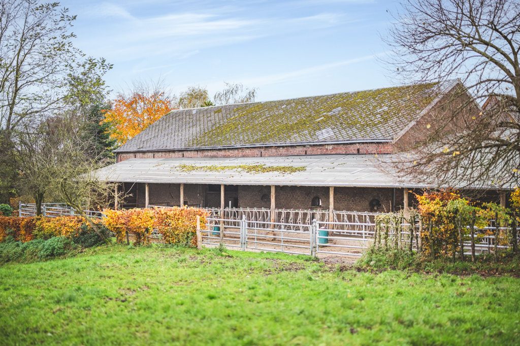 Immobilienangebot - Aachen - Wohnen - Stilsicher sanierte Hofanlage mit 2 Wohnhäusern und großen Stallungen
