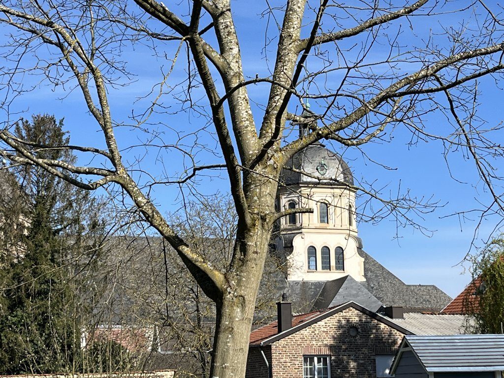 Immobilienangebot - Würselen - Wohnen - Kleines Einfamilienhaus mit riesigem Grundstück im Schatten von St. Sebastian