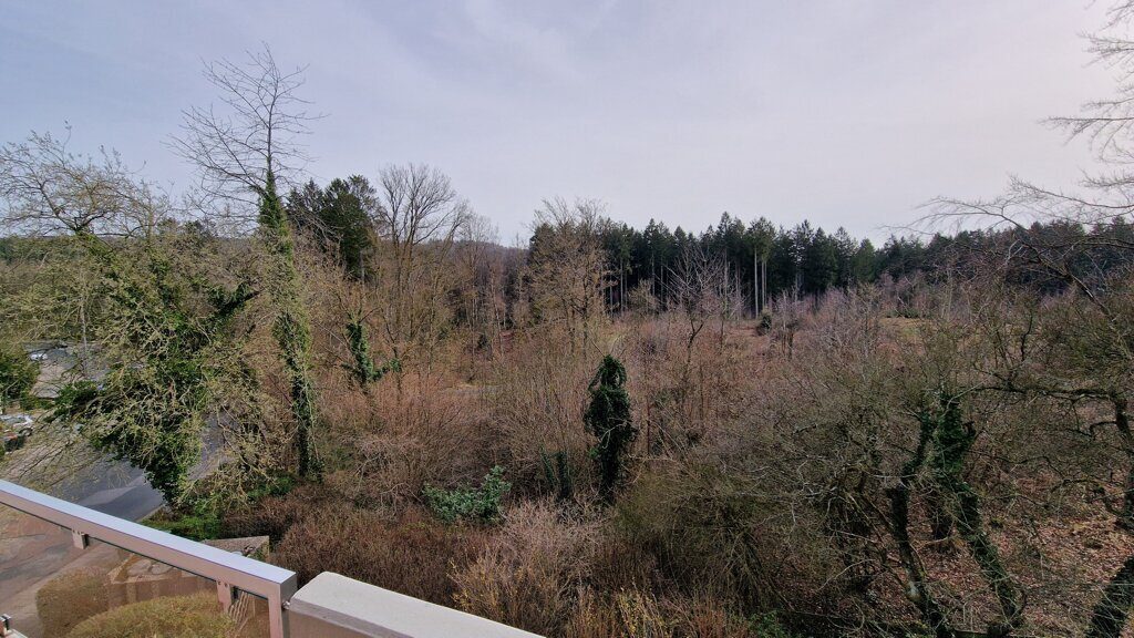 Immobilienangebot - Aachen - Wohnen - Der Blick ins Grüne!
Bezugsfreie 3 Zimmerwohnung mit großem Balkon und PKW Stellplatz