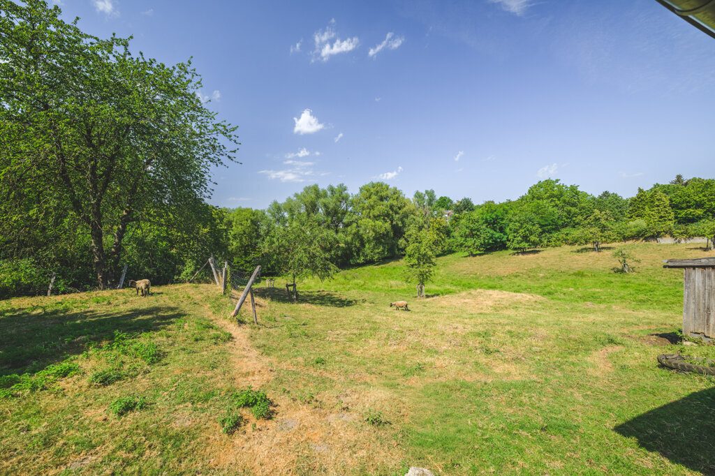 Immobilienangebot - Würselen - Wohnen - Fernblick inklusive!
Einfamilienhaus mit mehreren Lagerhallen und weitläufigem Grundstück