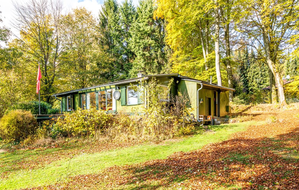 Immobilienangebot - Schotten - Alle - Schotten: Idyllische & charmantes Ferienhaus mit parkähnlichem Grundstück und traumhaftem Ausblick