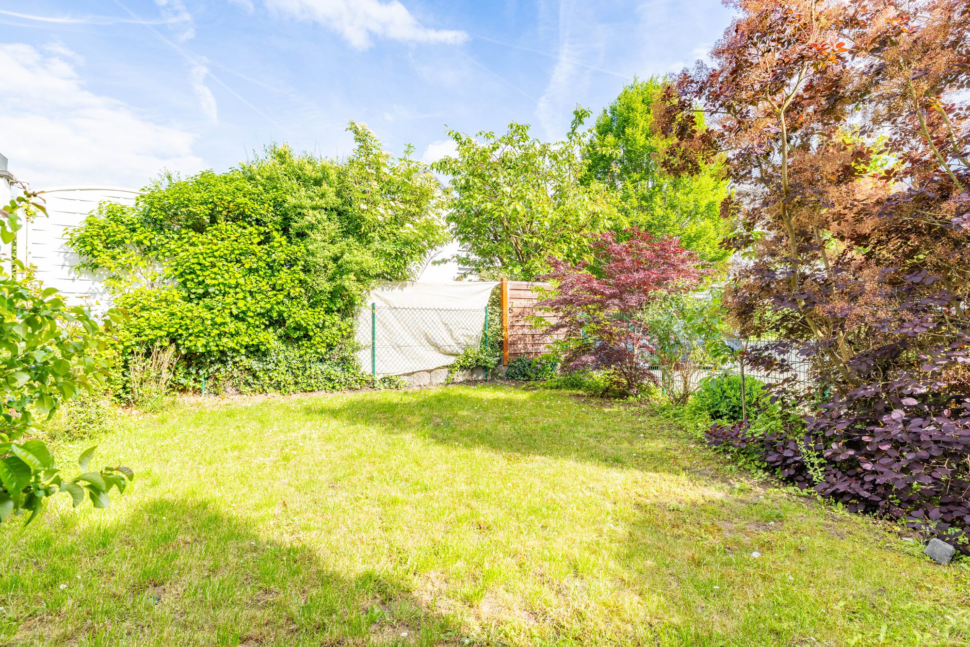 Immobilienangebot - Maintal - Alle - Maintal-Dörnigheim: Gepflegtes, geräumiges Einfamilienhaus (DHH) mit Südausrichtung in Ortsrandlage