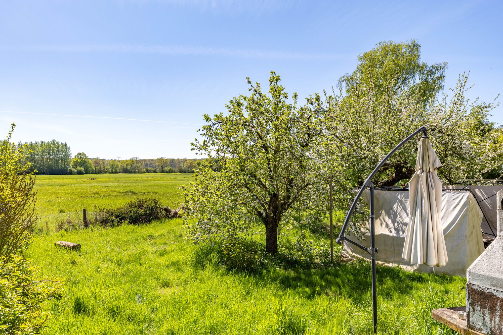 Immobilienangebot - Nidderau / Eichen - Alle - Nidderau-Eichen: Teil vermietetes Wohnanwesen mit großem Grundstück in ruhiger Feldrandlage