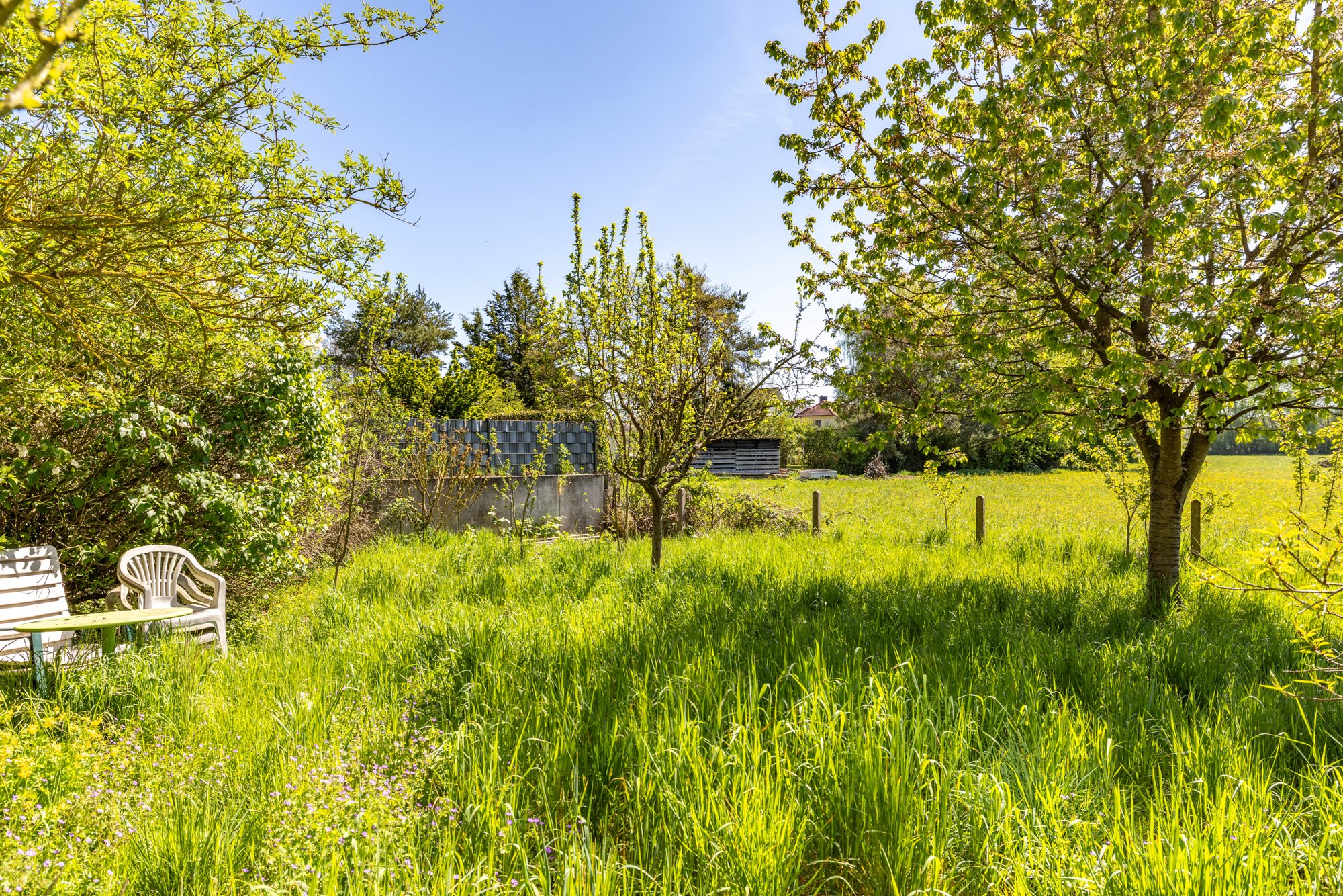 Immobilienangebot - Nidderau / Eichen - Alle - Nidderau-Eichen: Teil vermietetes Wohnanwesen mit großem Grundstück in ruhiger Feldrandlage