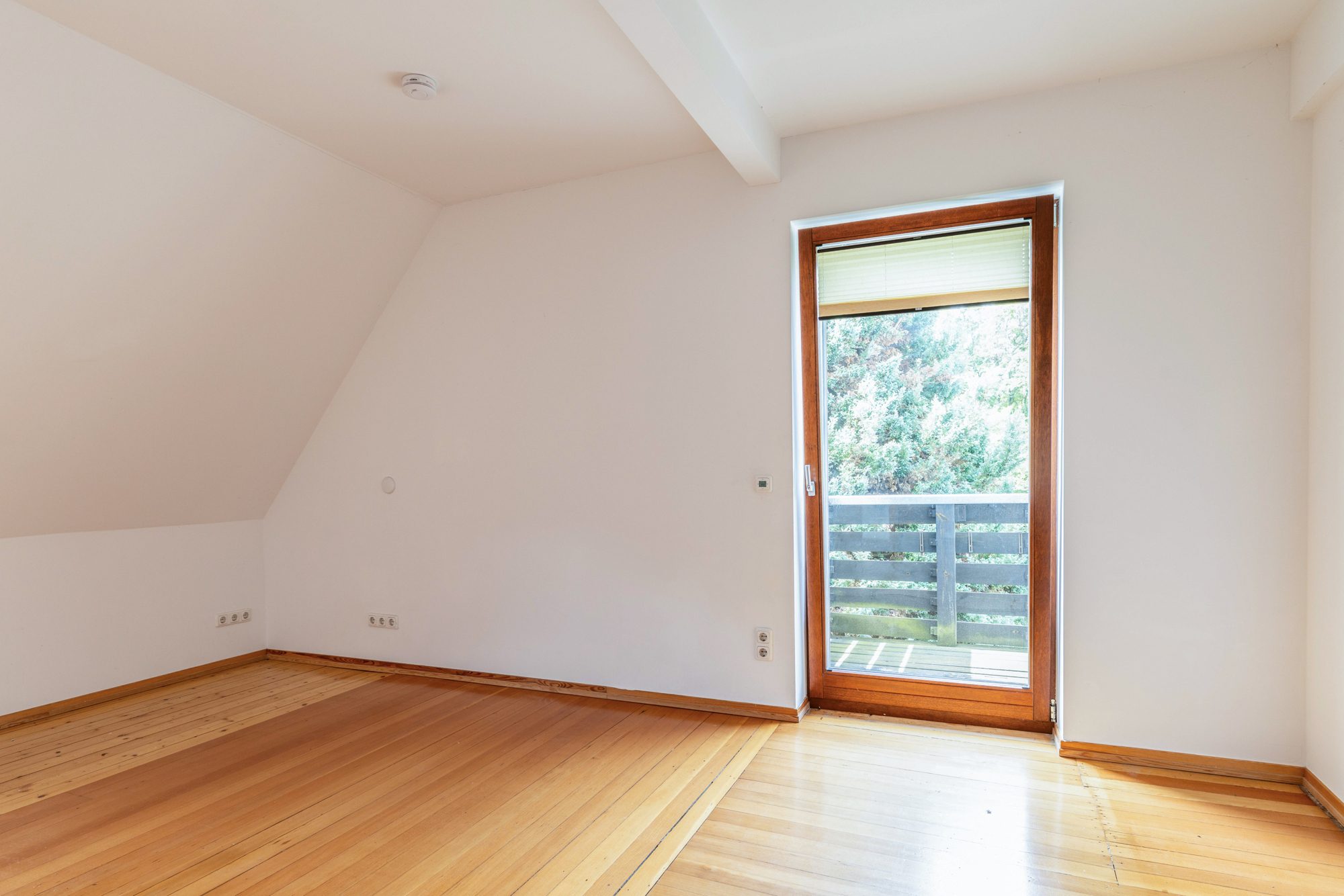 Immobilienangebot - Hanau - Alle - Hanau-Musikerviertel: Großzügiges, charmantes Einfamilienhaus mit tollem Garten in begehrter Lage