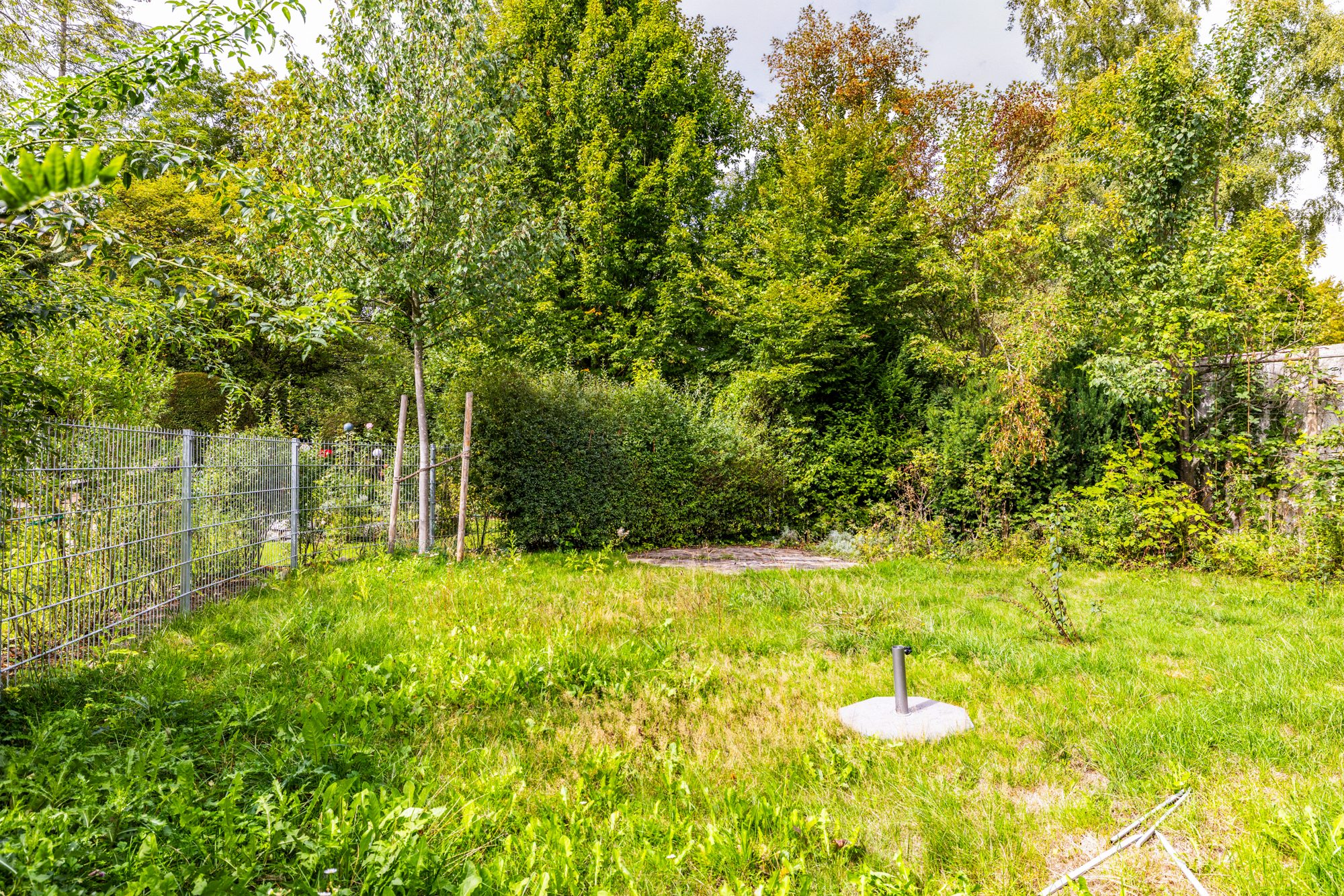 Immobilienangebot - Hanau - Alle - Hanau-Musikerviertel: Großzügiges, charmantes Einfamilienhaus mit tollem Garten in begehrter Lage