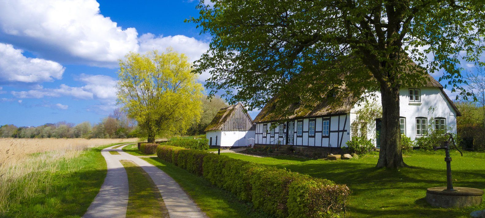 Immobilienmakler für Rendsburg-Eckernförde - Binko & Hofmann Immobilien