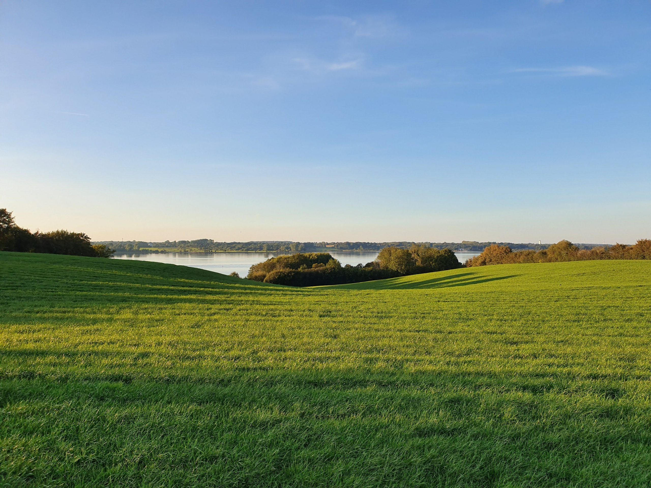 Immobilienmakler für die Region Schlei - Binko & Hofmann Immobilien