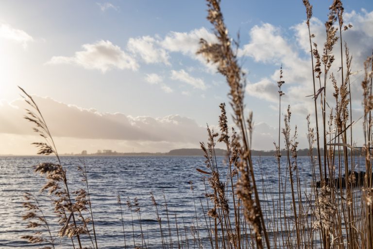 Immobilienangebot - Arnis - Alle - Wohnen mit Charakter – Sanierte Rarität nahe der Schlei!