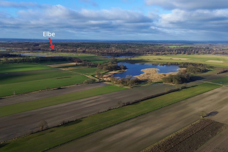 Immobilienangebot - Bleckede - Alle - Großes Baugrundstück mit unverbaubarem Blick ins Grüne