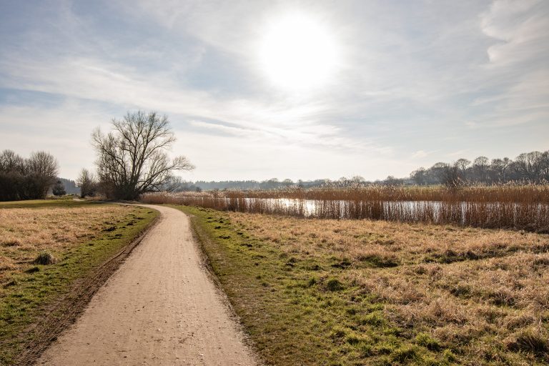 Immobilienangebot - Rendsburg - Alle - Einfamilienhaus mit Weitblick zur Eider sucht neue Eigentümer!