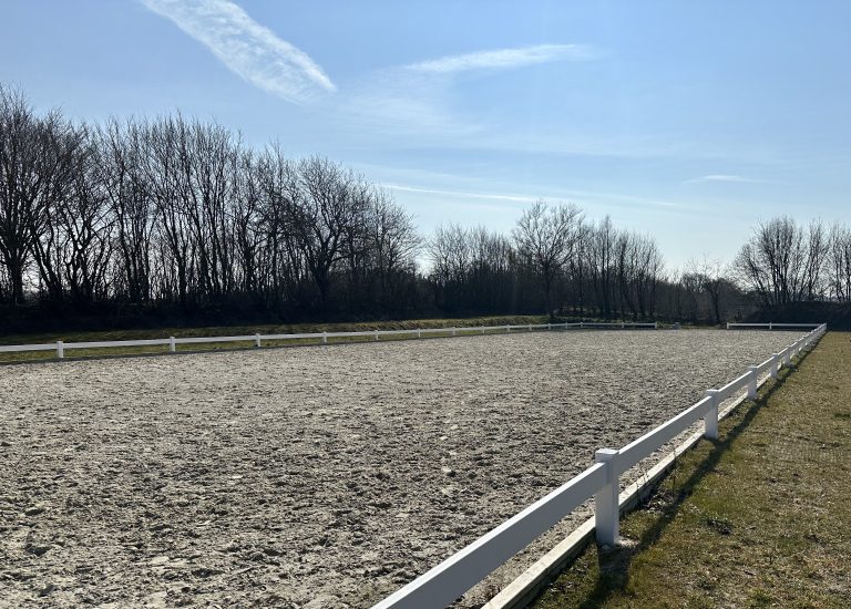 Immobilienangebot - Güby - Alle - 105 m²-Wohnung auf Reitanlage Hof Eckhorst – Ideal für Pferdeliebhaber und Internatsschüler