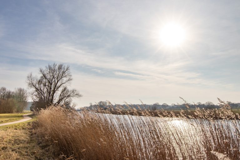 Immobilienangebot - Rendsburg - Alle - Einfamilienhaus mit Weitblick zur Eider sucht neue Eigentümer!