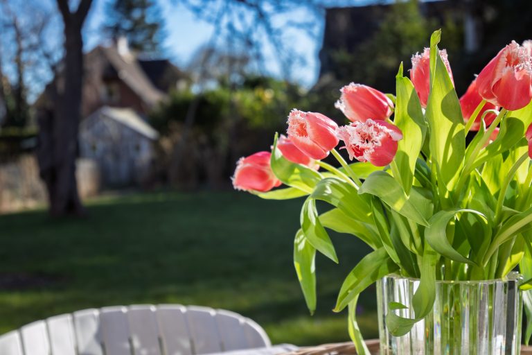 Immobilienangebot - Kronshagen - Alle - Leben auf der Sonnenseite: Ihr neues Zuhause in Kronshagen!