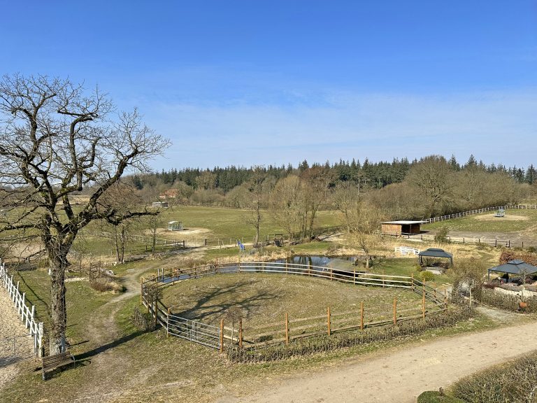 Immobilienangebot - Güby - Alle - 105 m²-Wohnung auf Reitanlage Hof Eckhorst – Ideal für Pferdeliebhaber und Internatsschüler