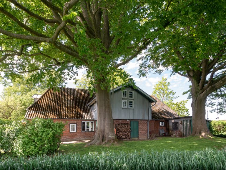 Immobilienangebot - Mohrkirch - Alle - … und am Ende der Straße steht ein besonderes Landhaus