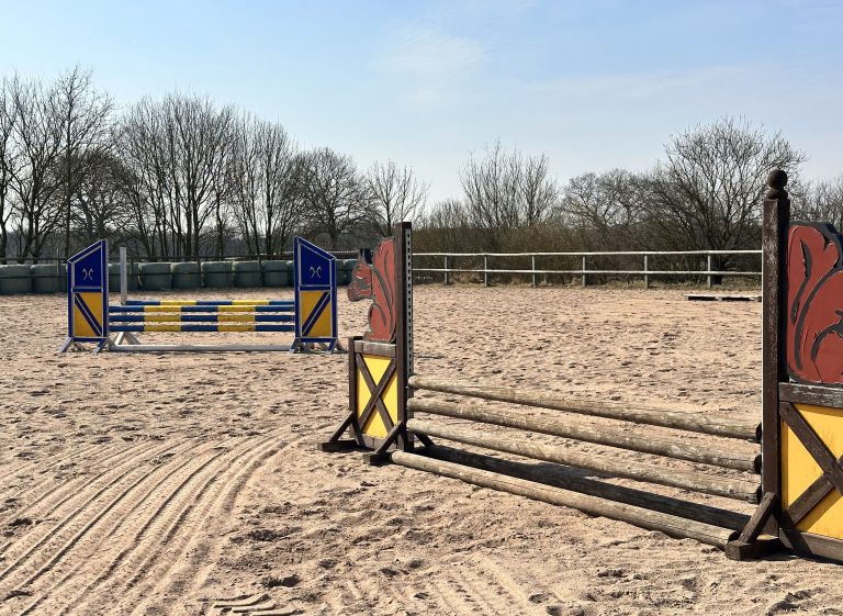 Immobilienangebot - Güby - Alle - 105 m²-Wohnung auf Reitanlage Hof Eckhorst – Ideal für Pferdeliebhaber und Internatsschüler