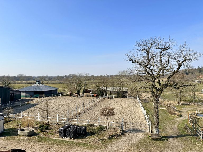 Immobilienangebot - Güby - Alle - 105 m²-Wohnung auf Reitanlage Hof Eckhorst – Ideal für Pferdeliebhaber und Internatsschüler