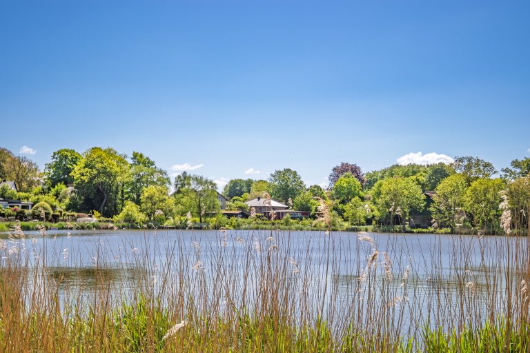 Immobilienangebot - Kosel - Alle - Kleines Haus, große Aussicht – Traumgrundstück an der Schlei!