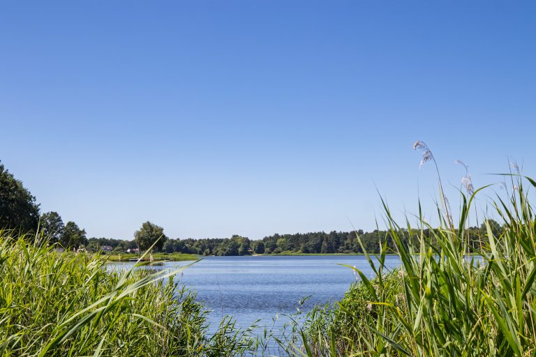 Immobilienangebot - Langwedel - Alle - Seenähe inklusive - Wochenendidylle für die kleine Familie!