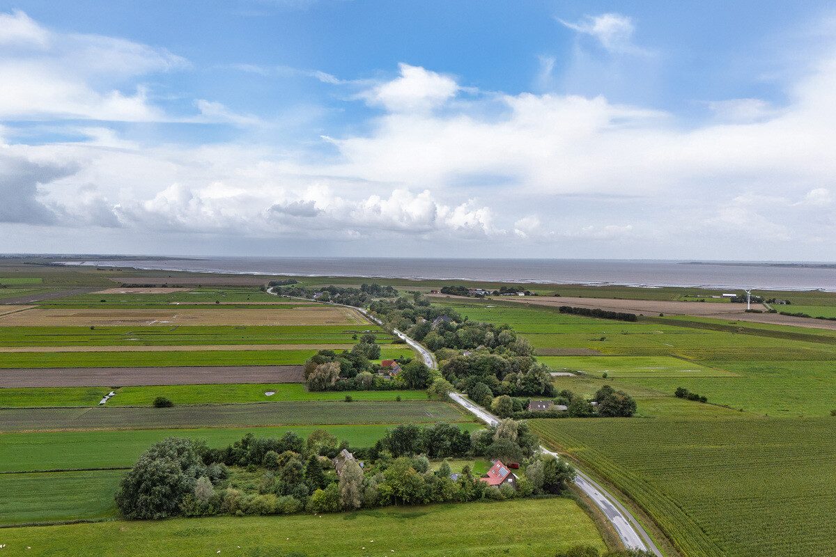 Immobilienangebot - Uelvesbüll - Alle - Landhausidylle unter Reet - Wohnen, wo Ruhe zuhause ist