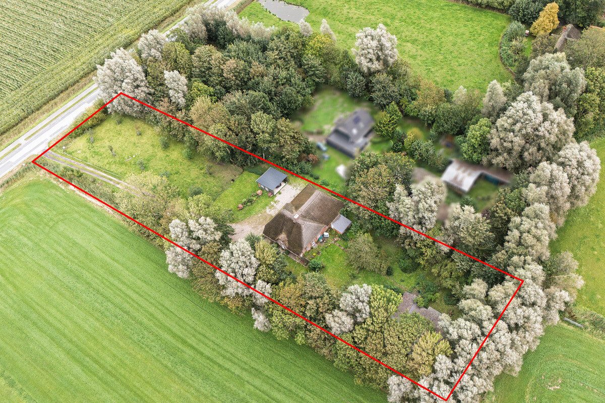 Immobilienangebot - Uelvesbüll - Alle - Landhausidylle unter Reet - Wohnen, wo Ruhe zuhause ist