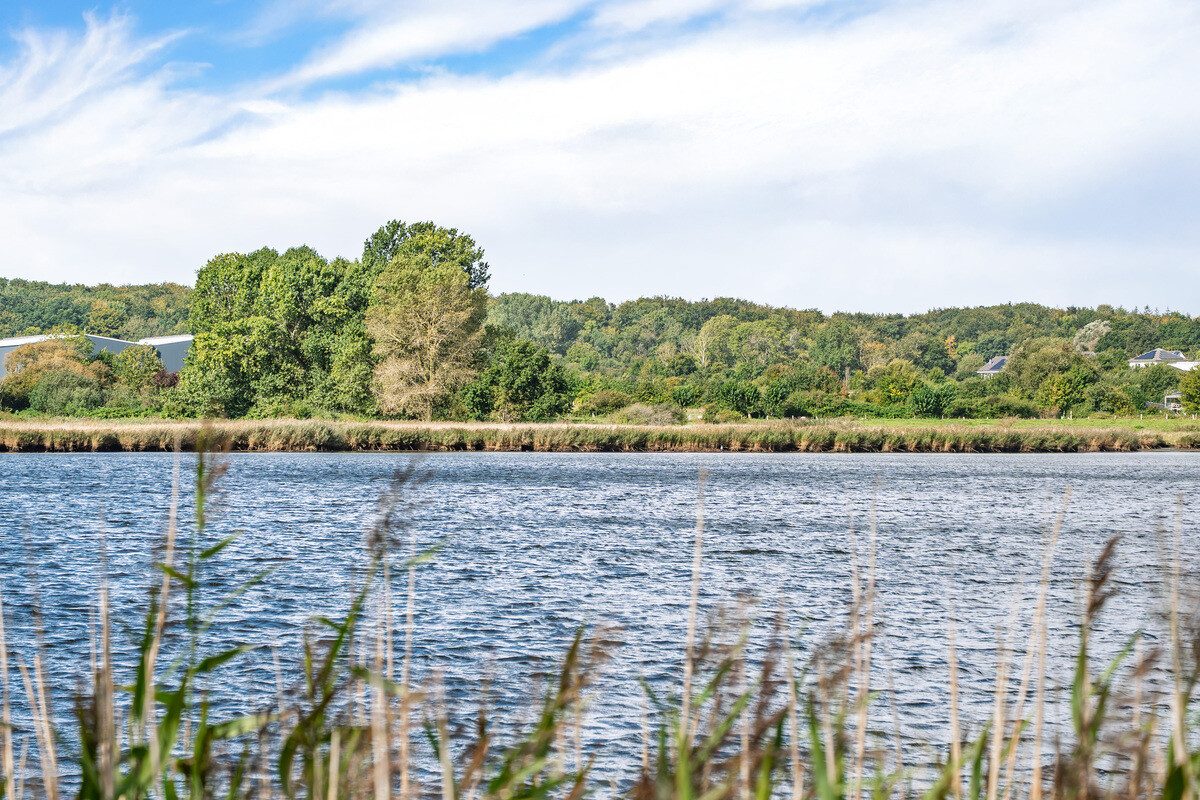 Immobilienangebot - Kappeln - Alle - Ihr Zuhause an der Schlei - wohnen zwischen Wasser & Wohlgefühl