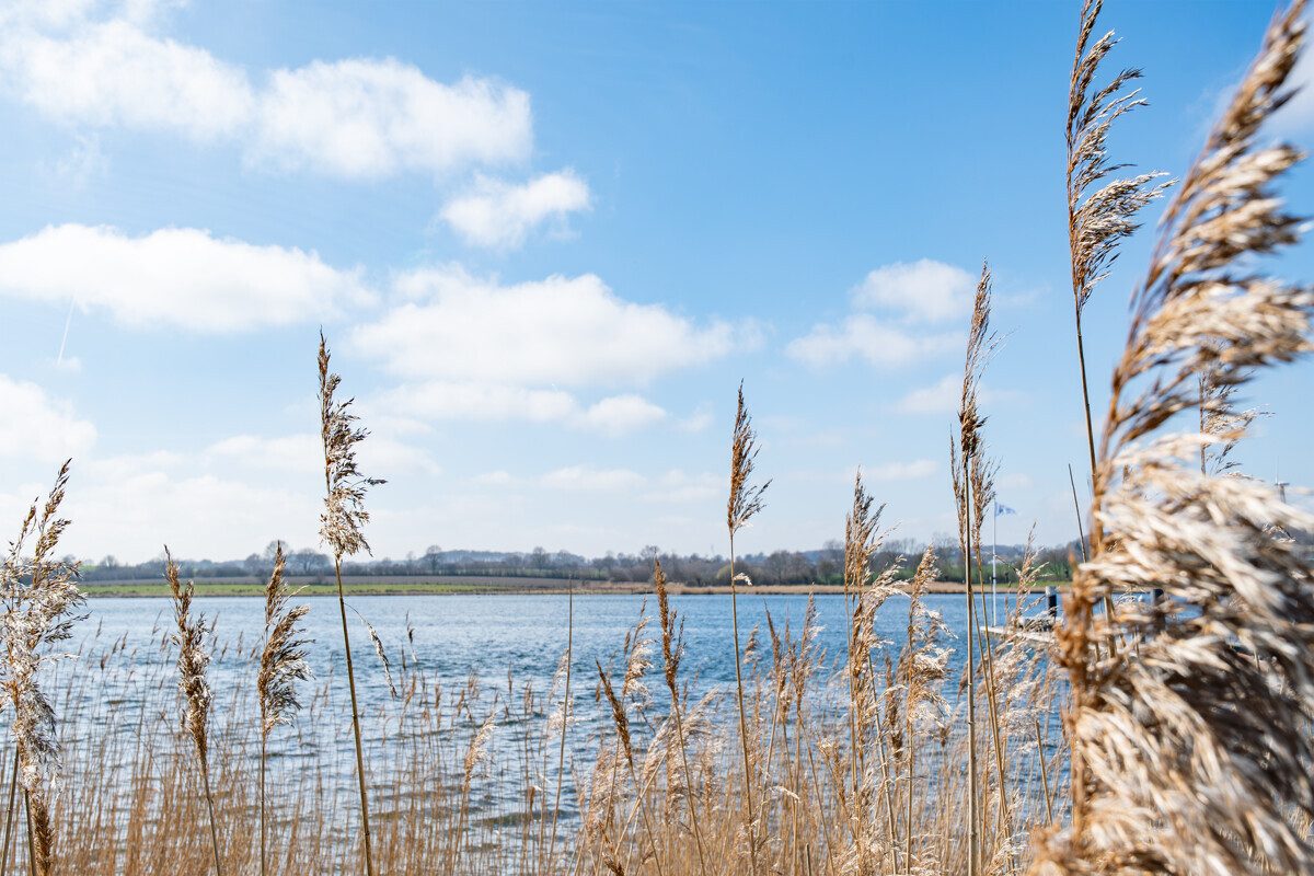 Immobilienangebot - Kappeln - Alle - Ihr Zuhause an der Schlei - wohnen zwischen Wasser & Wohlgefühl