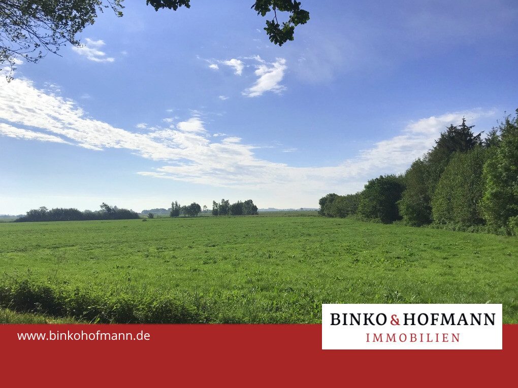 Immobilienangebot - Bergenhusen - Bauplätze - 1,9 ha Weideland in Naturlage