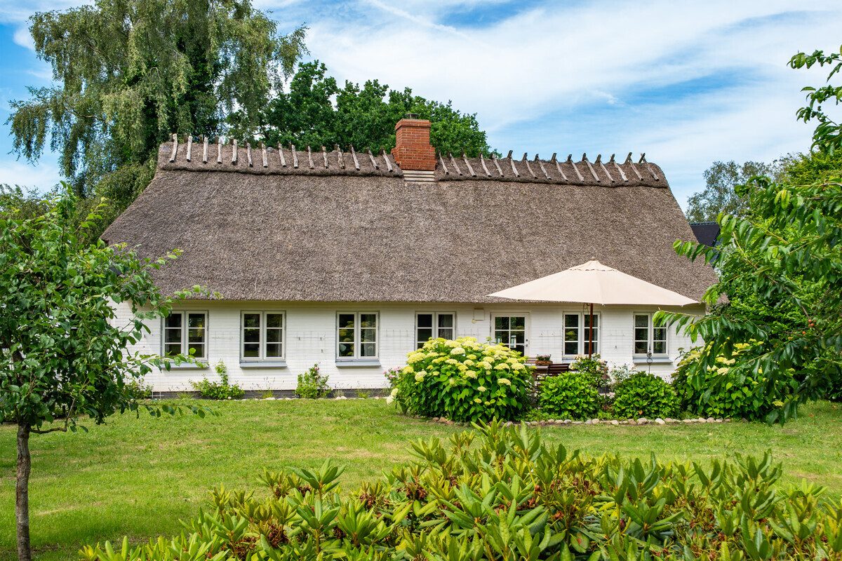 Immobilienangebot - Steinfeld - Alle - Urlaubsgefühle unter Reet – stilvoll, nachhaltig, schleinah