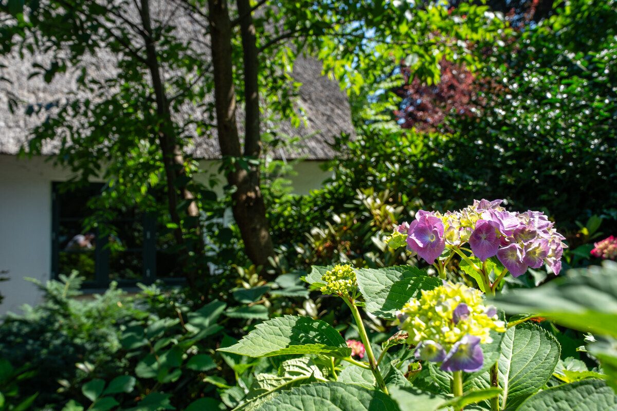 Immobilienangebot - Owschlag - Alle - Exklusives Wohnjuwel unter Reet mit Sauna- & Fitnesshaus