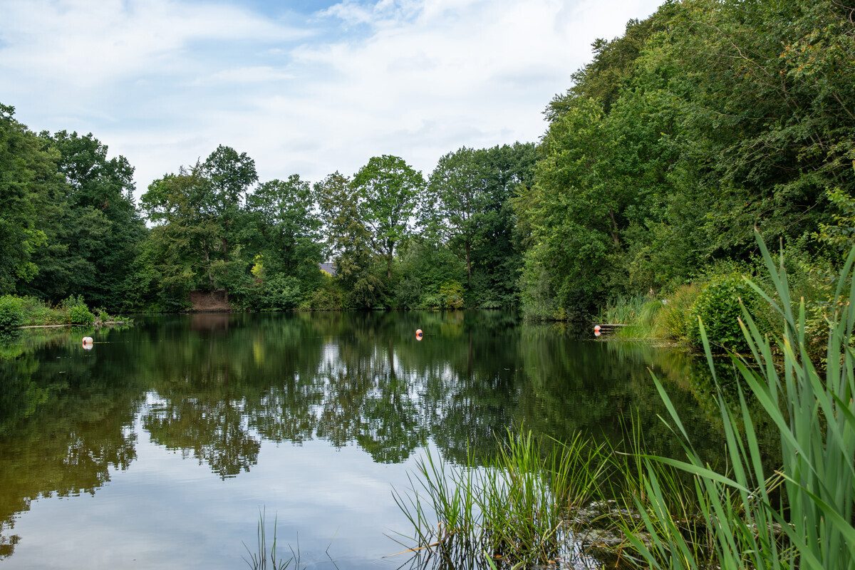 Immobilienangebot - Bollingstedt - Alle - Naturnah wohnen: Modernisiertes Zuhause auf großem Grundstück