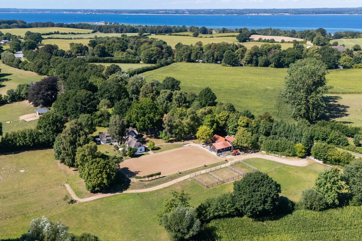 Immobilienangebot - Lindhöft / Noer - Alle - Das Glück dieser Erde... Reetdachensemble für Pferdeliebhaber