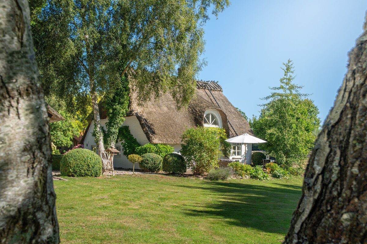 Immobilienangebot - Lindhöft / Noer - Alle - Das Glück dieser Erde... Reetdachensemble für Pferdeliebhaber