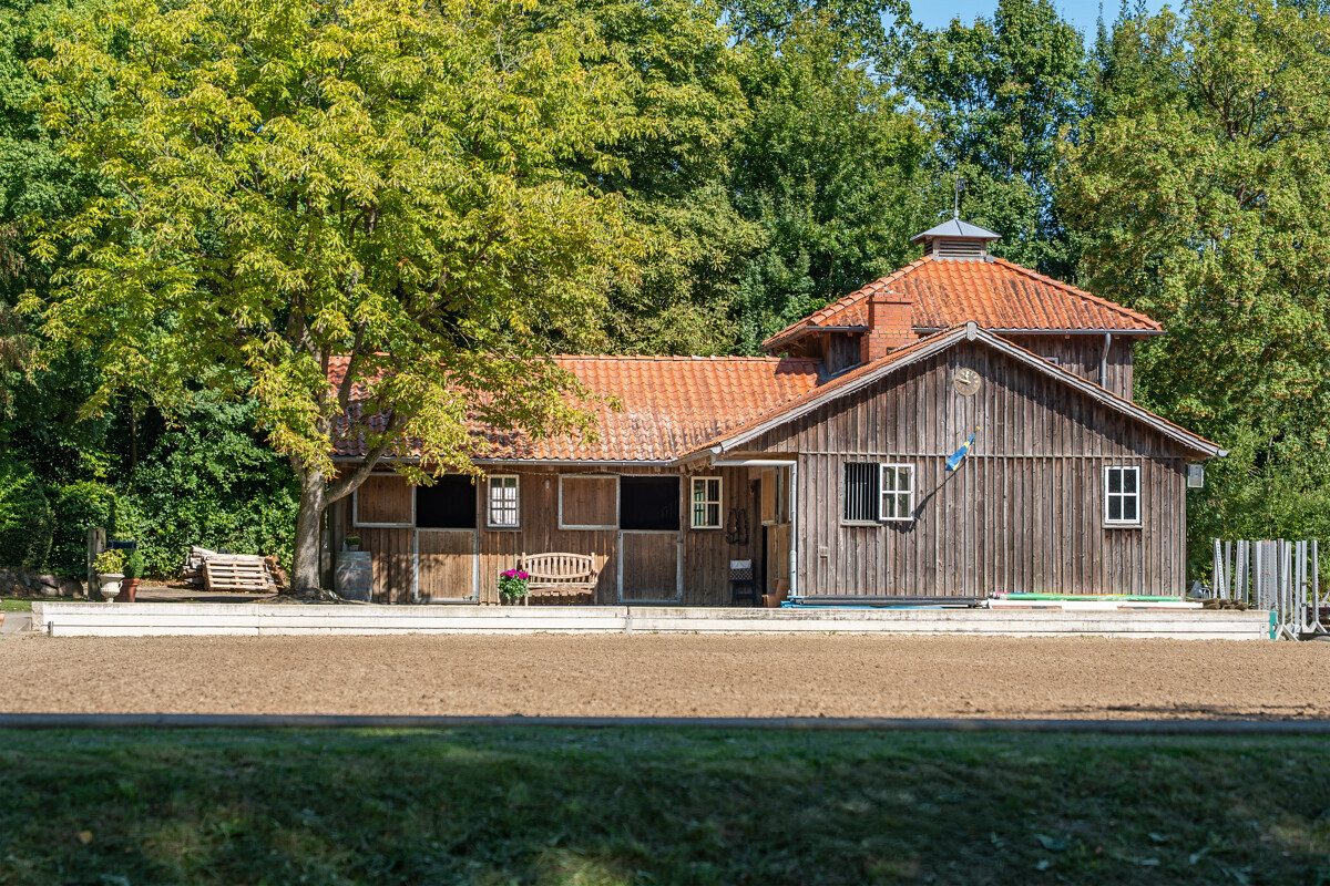 Immobilienangebot - Lindhöft / Noer - Alle - Das Glück dieser Erde... Reetdachensemble für Pferdeliebhaber