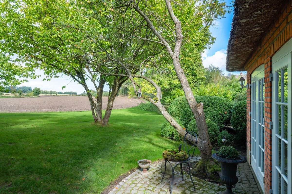 Immobilienangebot - Brodersby - Alle - Wo das Land die Seele berührt – Reetdachidylle mit Weitblick