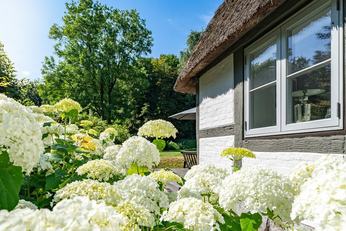 Immobilienangebot - Sönderby - Alle - Charmantes Reetdachensemble in schöner Naturlage