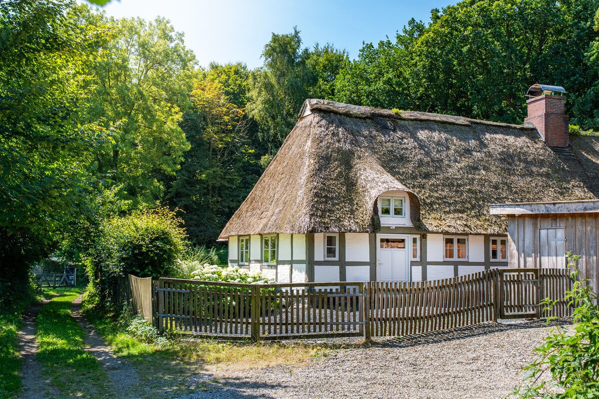 Immobilienangebot - Sönderby - Alle - Charmantes Reetdachensemble in schöner Naturlage
