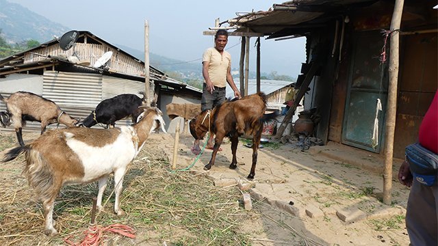 Habitat for Humanity Nepal