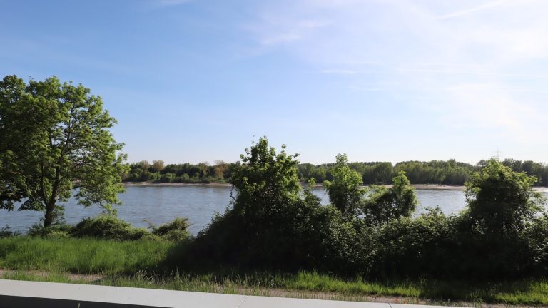 Böcker Wohnimmobilien - Immobilienangebot - Düsseldorf / Wittlaer - Alle - Einzigartiges Grundstück für den Familientraum direkt am Rhein in Wittlaer