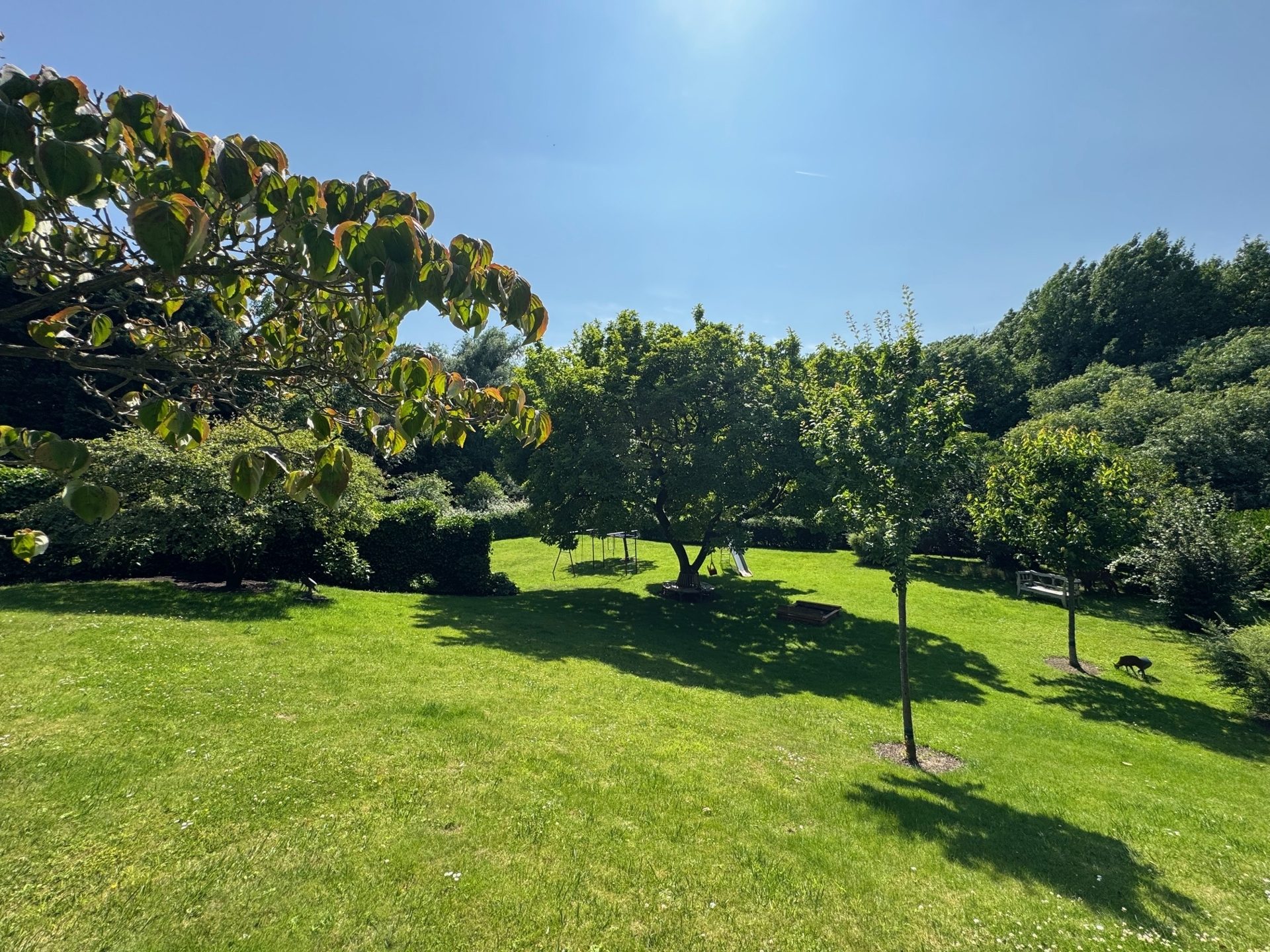Böcker Wohnimmobilien - Immobilienangebot - Düsseldorf / Kaiserswerth - Alle - Exklusive Familienvilla mit Terrassen-Oase und Weitblick in den Rheinauen von Kaiserswerth