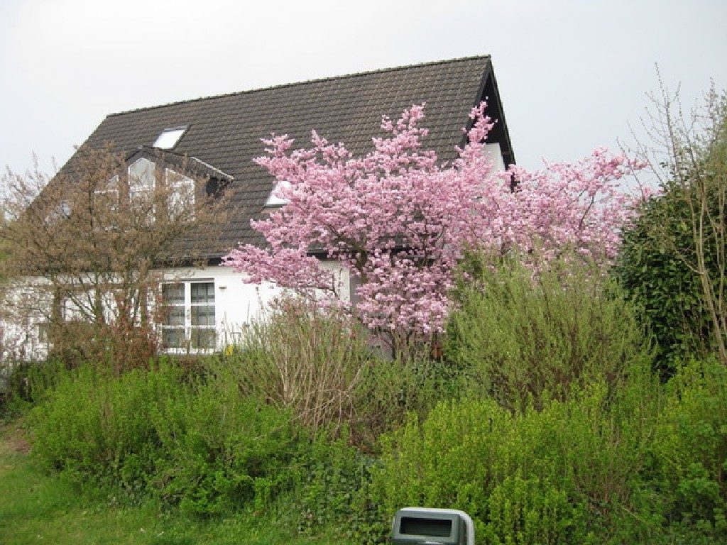 Böcker Wohnimmobilien - Immobilienangebot - Düsseldorf / Wittlaer - Alle - Hochwertiges Split-Level-Haus in bevorzugter Lage von Wittlaer