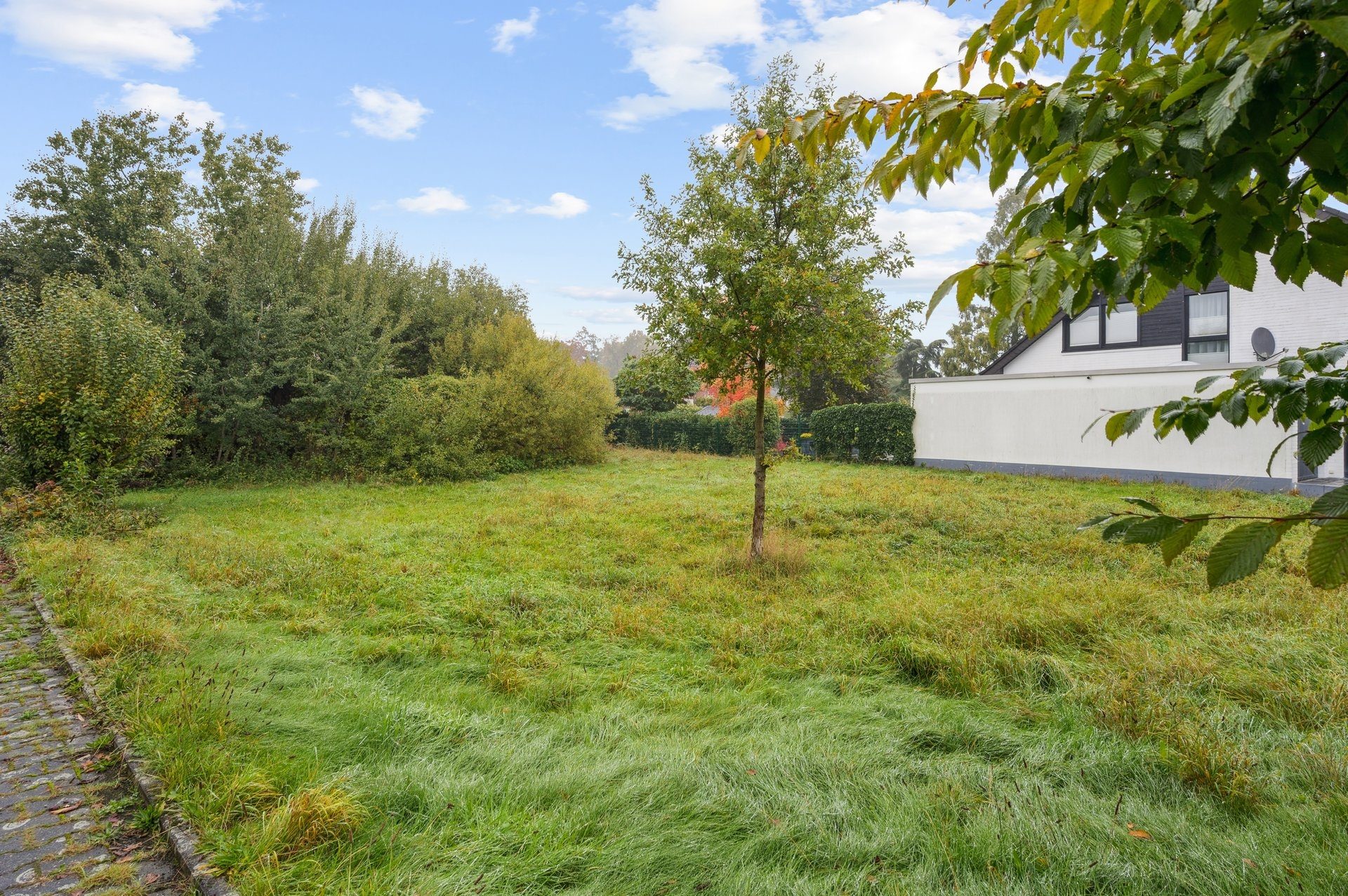 Böcker Wohnimmobilien - Immobilienangebot - Krefeld / Traar - Alle - Grundstück in Krefeld-Traar – Raum für Ideen, Wohnen und Entwicklung