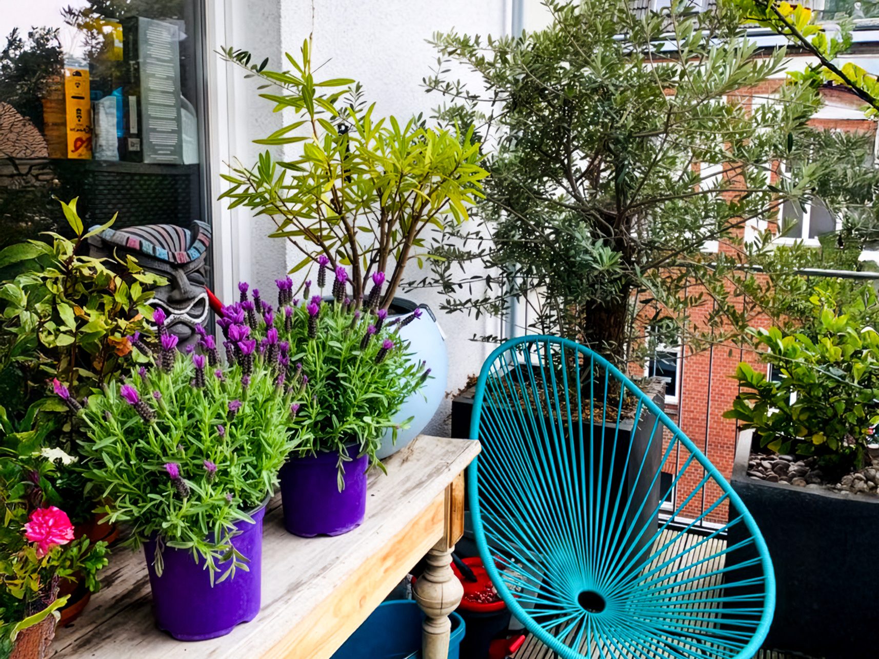 Böcker Wohnimmobilien - Immobilienangebot - Düsseldorf / Pempelfort - Alle - Traumhafte, sanierte  Vierzimmer-Altbauwohnung mit großer Balkonterrasse