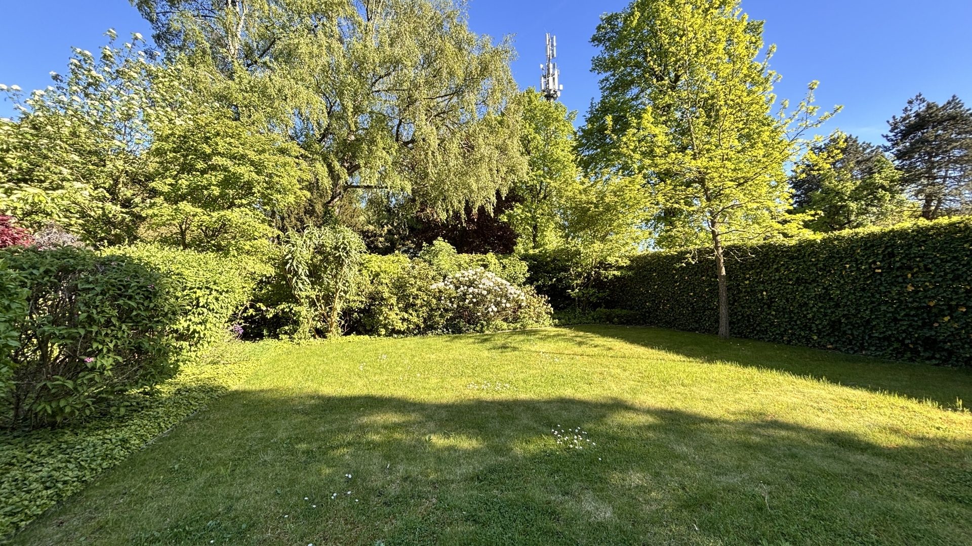 Böcker Wohnimmobilien - Immobilienangebot - Düsseldorf / Wittlaer - Alle - Familiendomizil in bester Wohnlage fußläufig zum Rhein